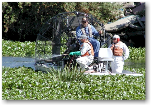 hyacinth_spraying