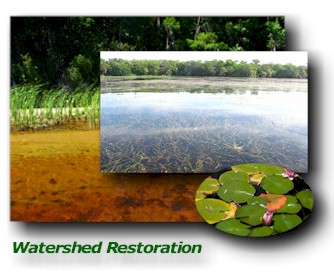 watershed_restoration