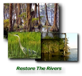 watershed_restoration1